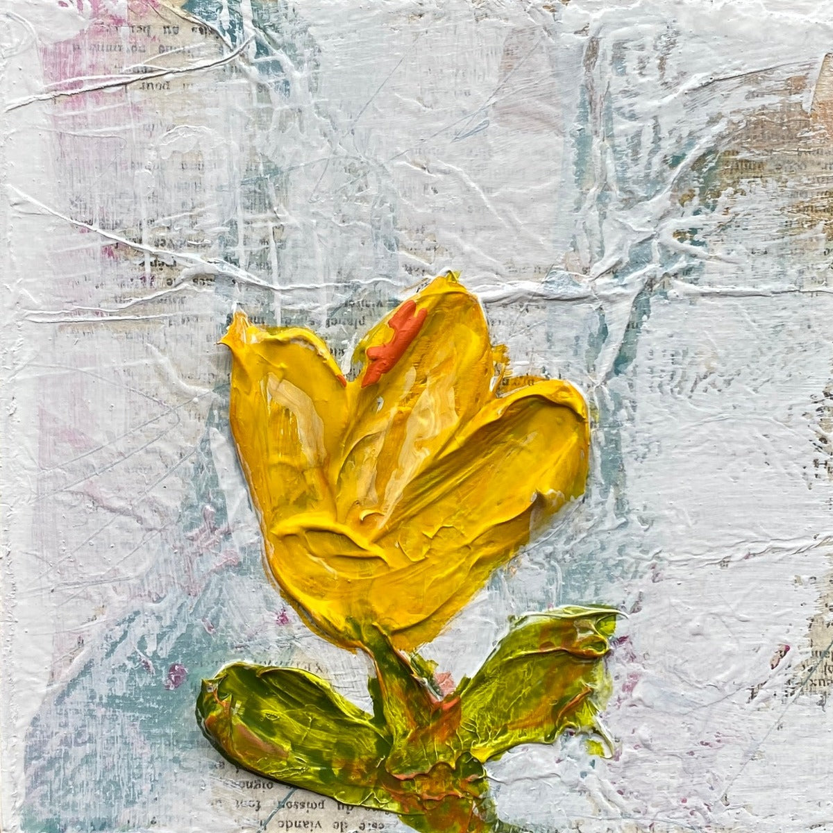 Tulip Series 2023