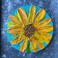 Seeds of Bounty