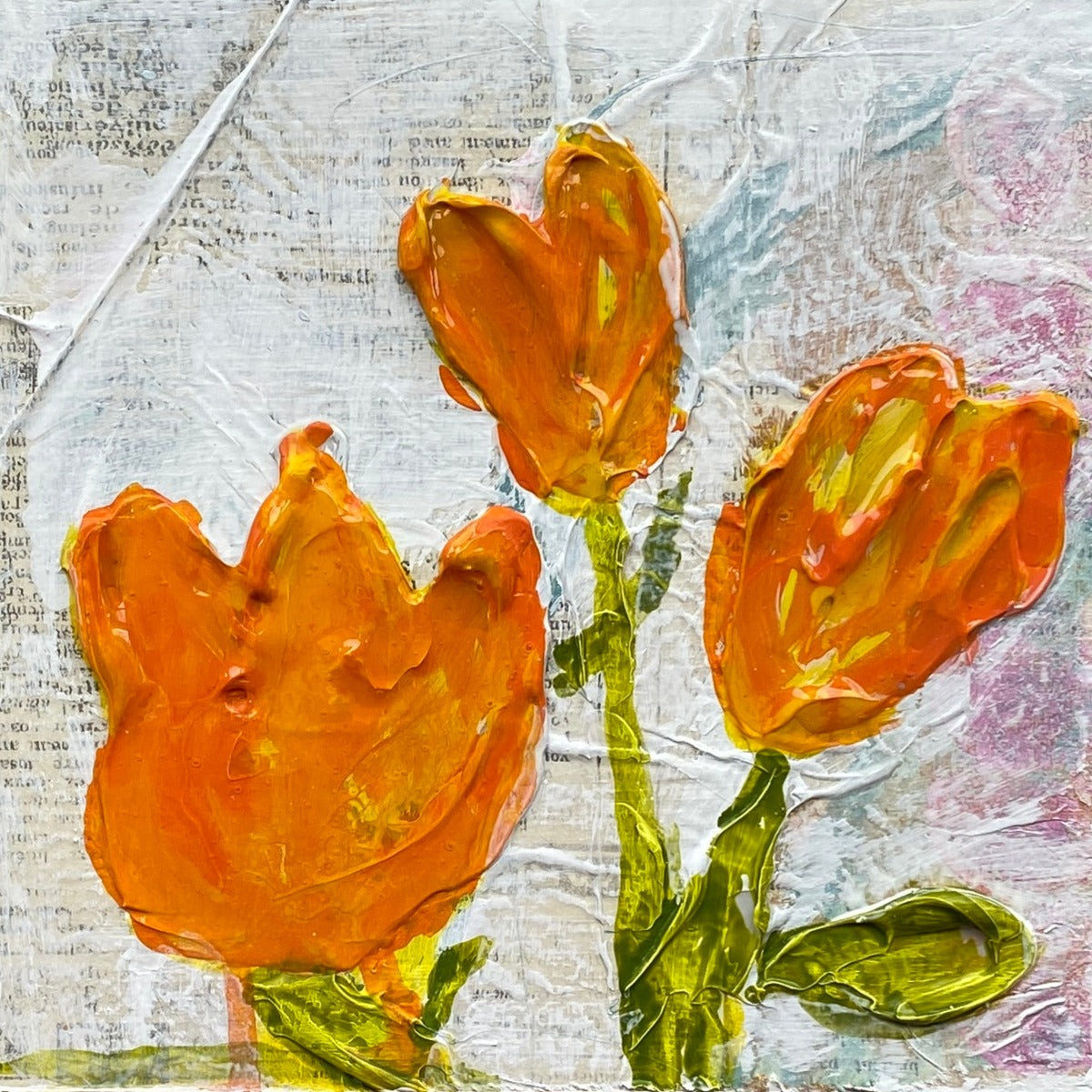 Tulip Series 2023