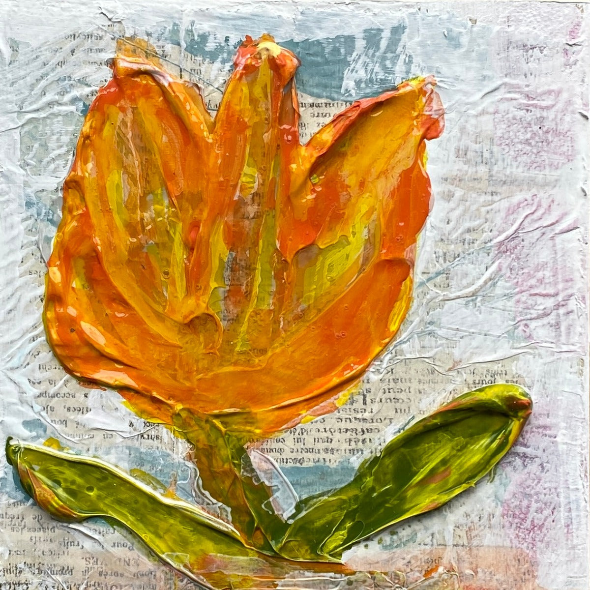 Tulip Series 2023