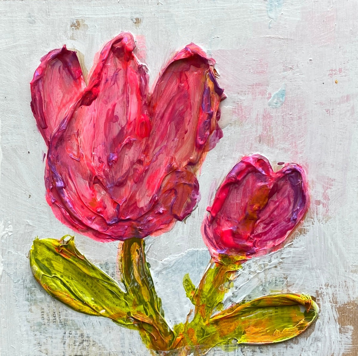 Tulip Series 2023