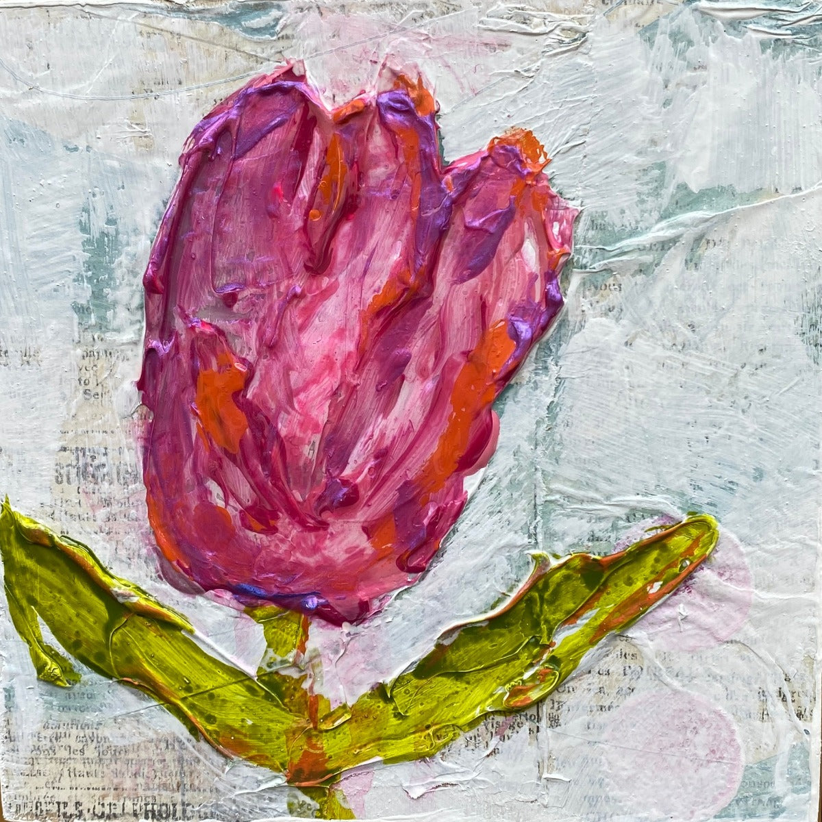 Tulip Series 2023